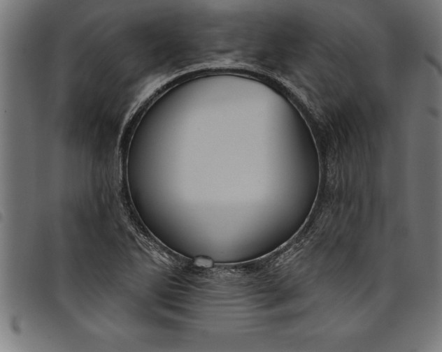 X0000097891270200803281238