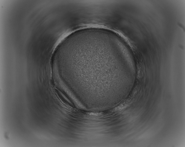 X0000097891271200803281238