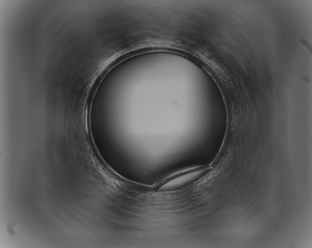 X0000097891272200803281238