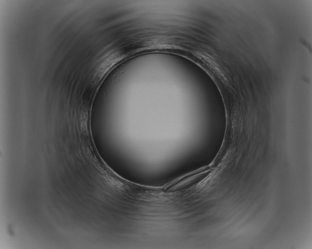 X0000097891273200803281238