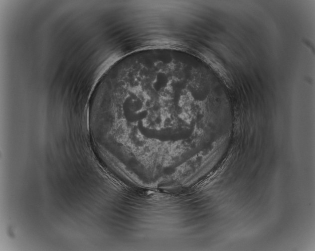 X0000097891275200803281238