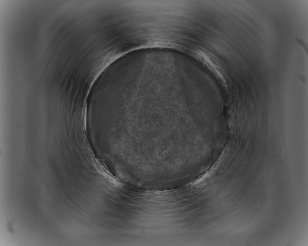 X0000097891276200803281238