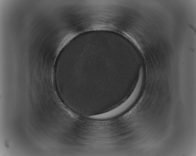 X0000097891277200803281238