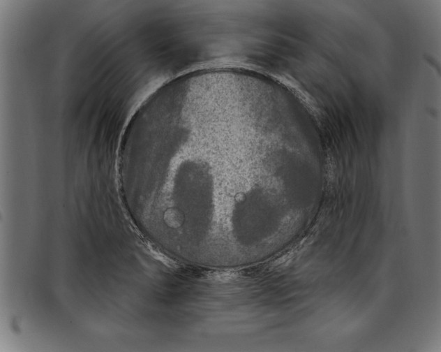 X0000097891278200803281238