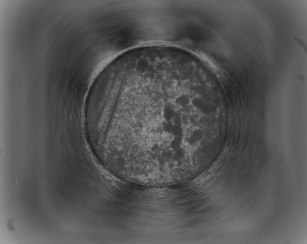 X0000097891279200803281238