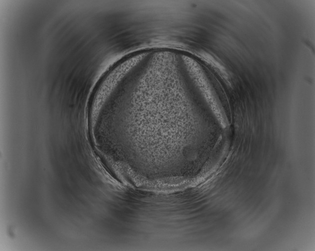 X0000097891280200803281238