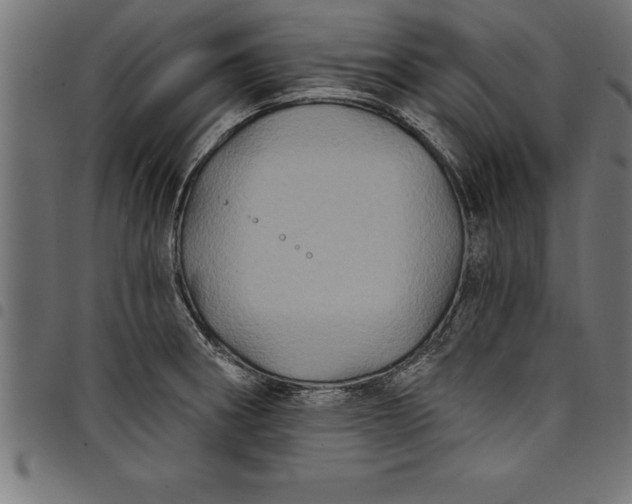 X0000097891282200803281238