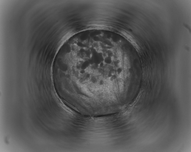 X0000097891283200803281238