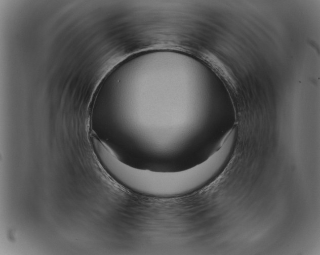 X0000097891284200803281238