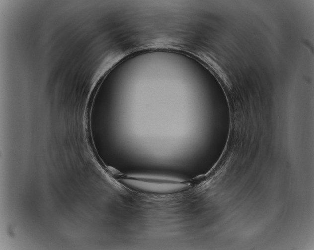 X0000097891285200803281238