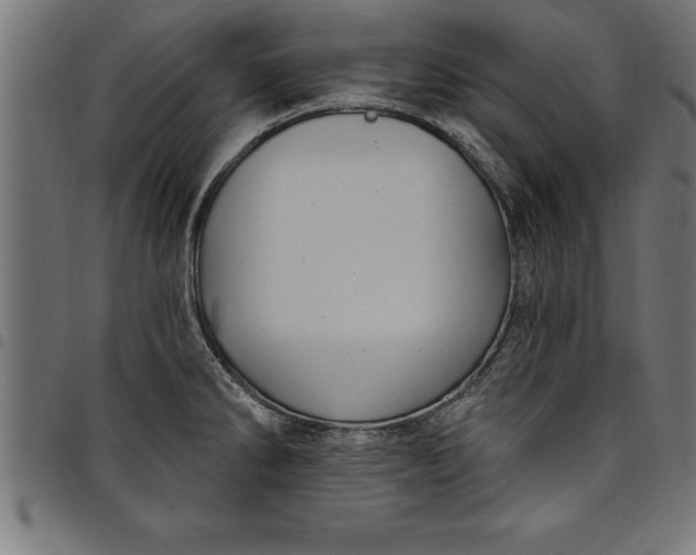 X0000097891286200803281237