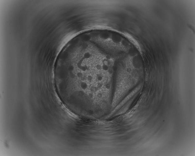 X0000097891287200803281237