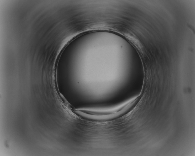 X0000097891288200803281237