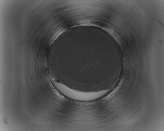 X0000097891289200803281237