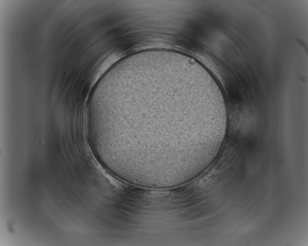 X0000097891290200803281237