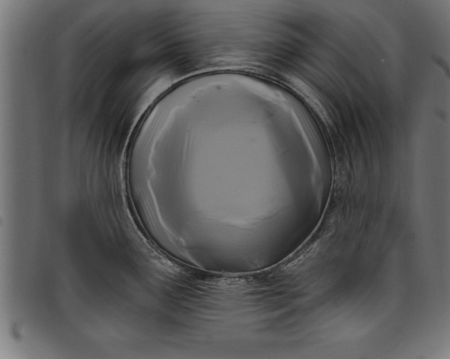 X0000097891291200803281237