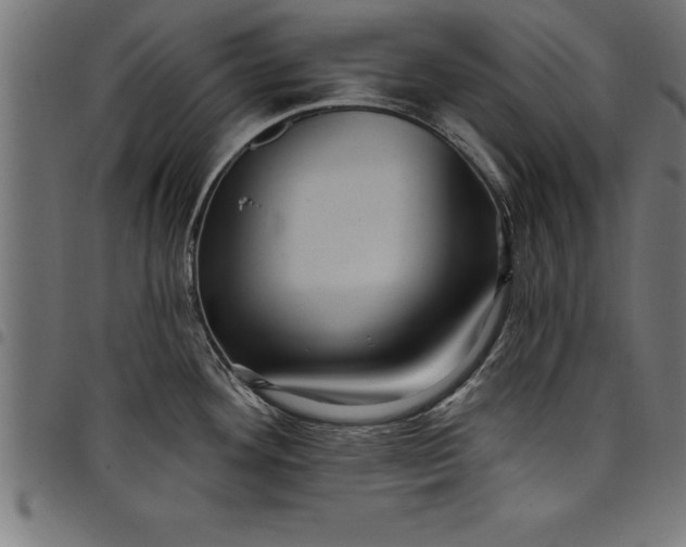 X0000097891292200803281237