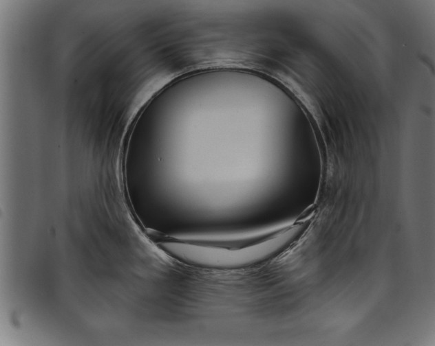 X0000097891293200803281237