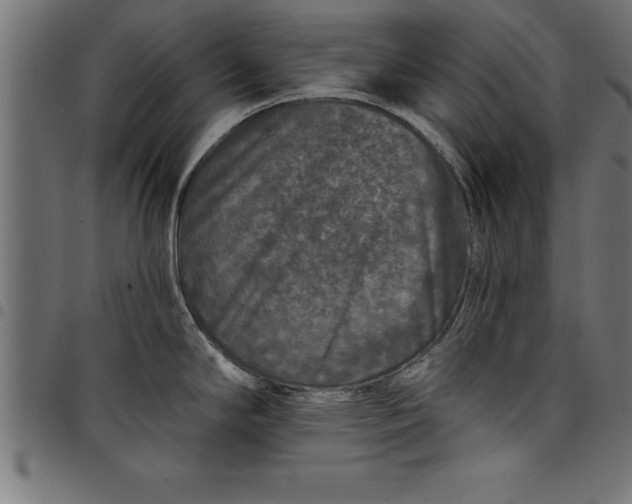 X0000097891294200803281237