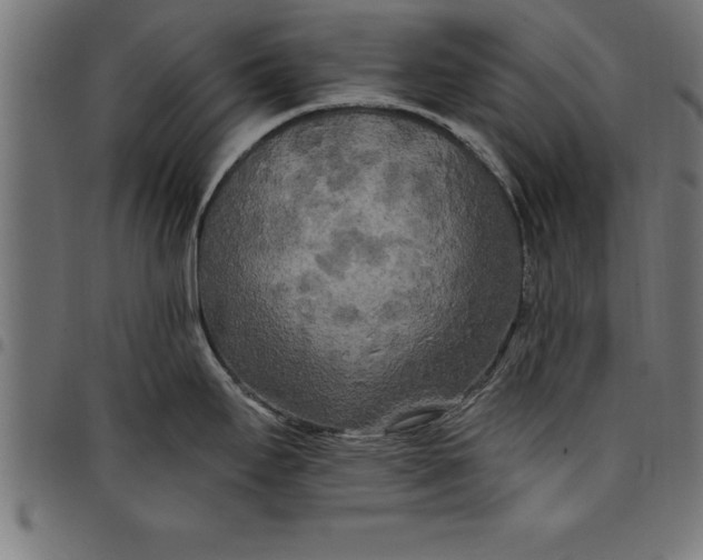 X0000097891295200803281237