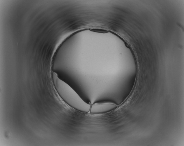 X0000097891296200803281237