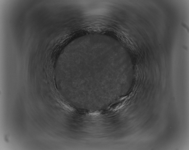 X0000097891297200803281237