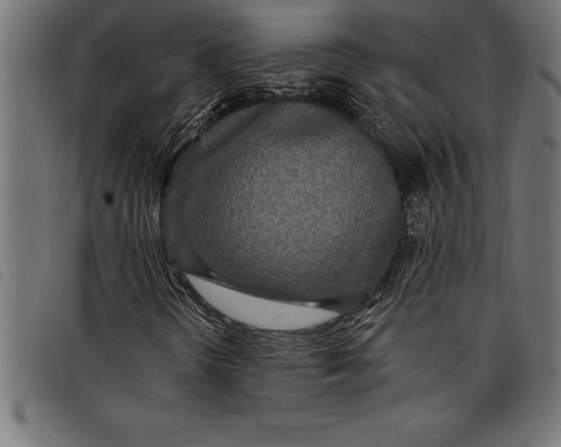 X0000097891298200803281237