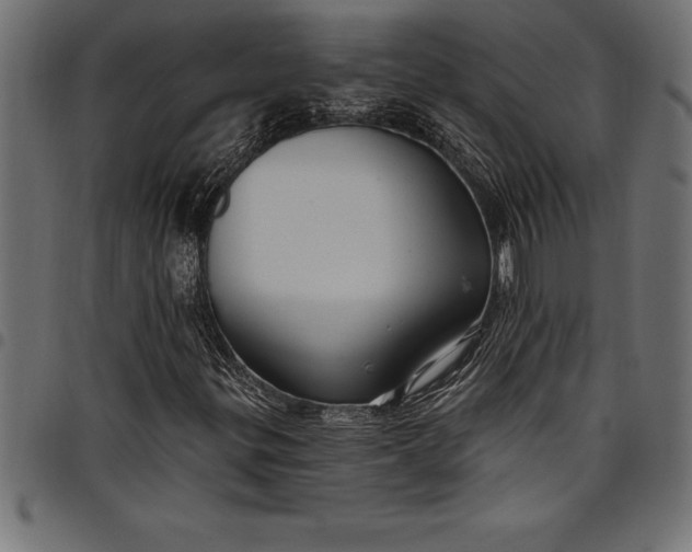 X0000097891299200803281237