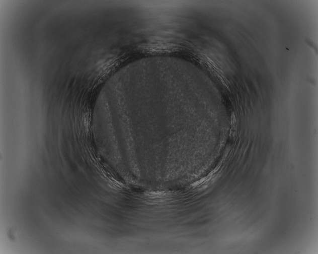 X0000097891300200803281237