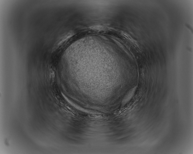 X0000097891302200803281237