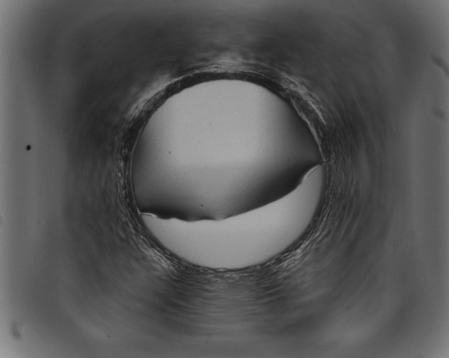 X0000097891304200803281237