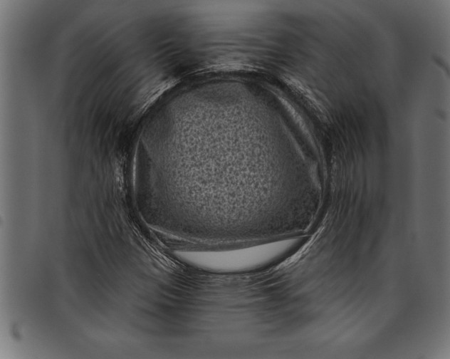 X0000097891305200803281237