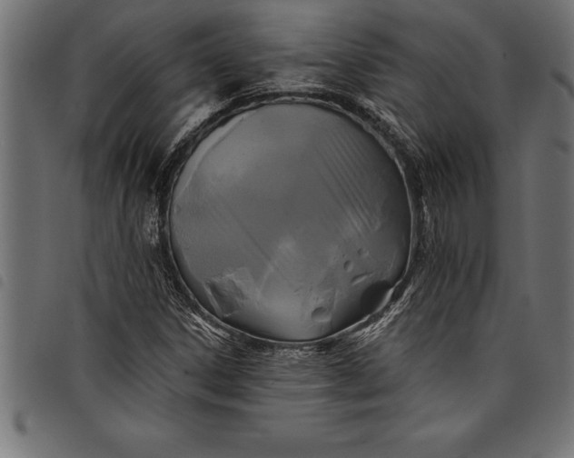 X0000097891306200803281237