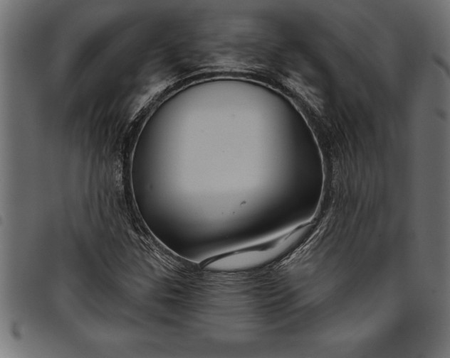 X0000097891307200803281237