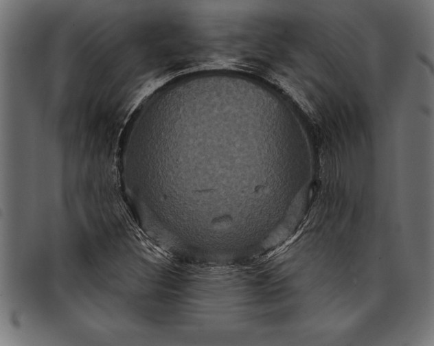 X0000097891308200803281237