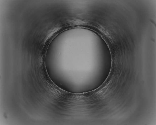 X0000097891309200803281237