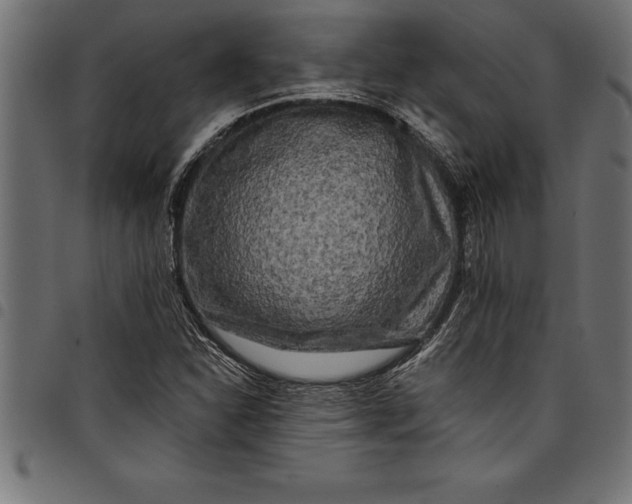 X0000097891310200803281237