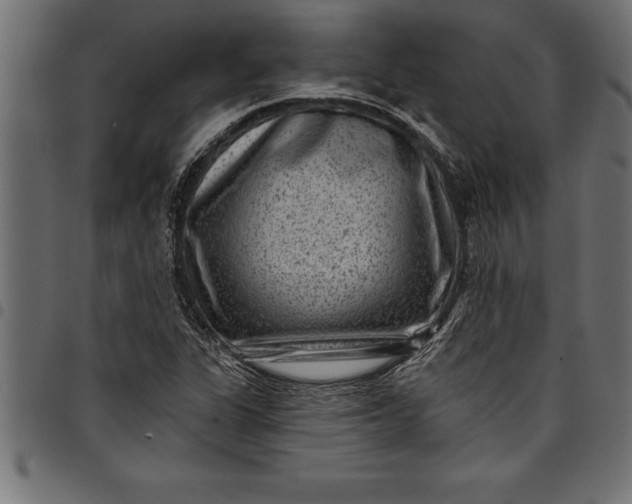 X0000097891311200803281237