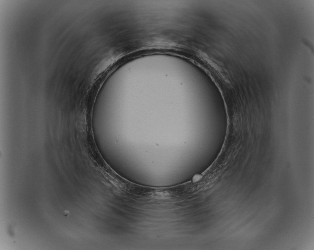 X0000097891315200803281237