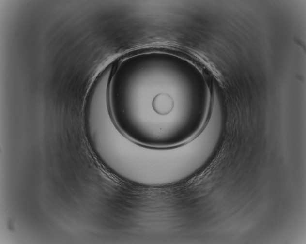 X0000097891316200803281237