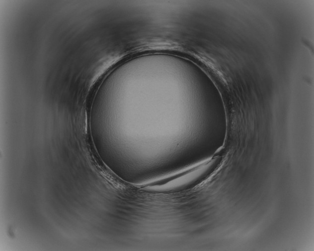 X0000097891317200803281237