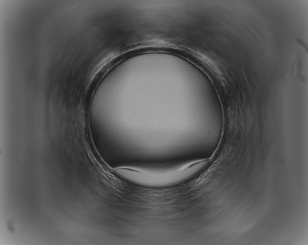 X0000097891318200803281237