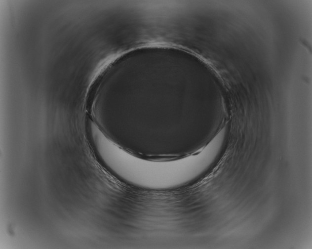 X0000097891319200803281237