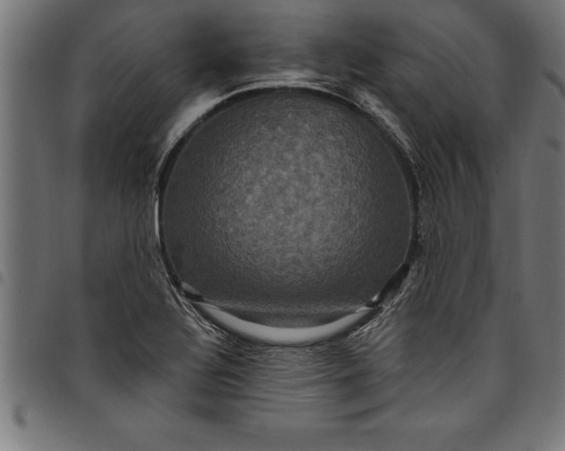 X0000097891320200803281237