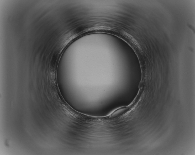 X0000097891321200803281237