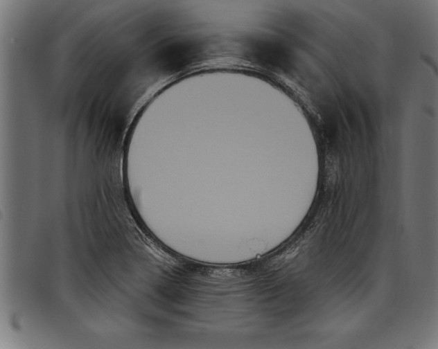 X0000097891322200803281237