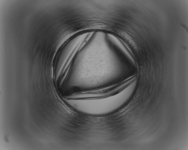 X0000097891324200803281237