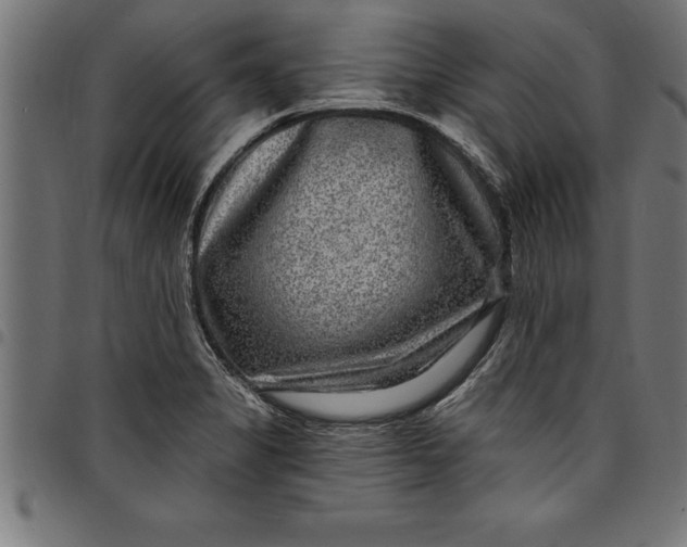 X0000097891325200803281237