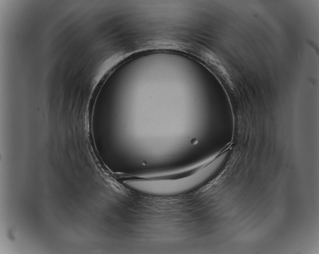 X0000097891328200803281237