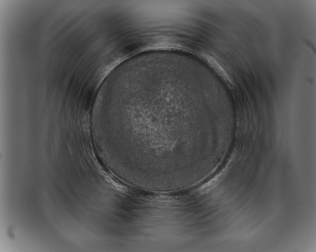 X0000097891329200803281237